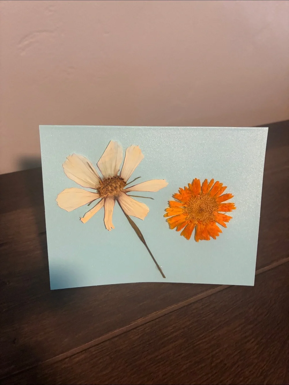 ✴️Handmade Pressed Flowers on Blank Card